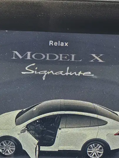 Tesla Model X 2017, foto 11