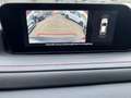 Mazda CX-30 Homura AT *Navi/Head-up/ACC/SHZG/RFK/PDC* Rouge - thumbnail 14