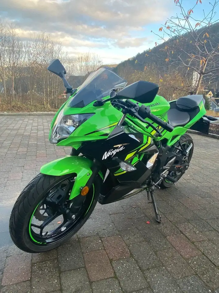 Kawasaki Ninja 125