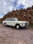 Mercedes-Benz W 114/115 Strich-Acht 240d - thumbnail 8