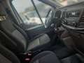 Ford Transit Transit Kasten 2,0 EcoBlue L2H2 290 Startup Weiß - thumbnail 7