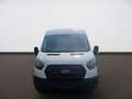 Ford Transit Transit Kasten 2,0 EcoBlue L2H2 290 Startup Weiß - thumbnail 3