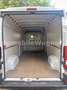 Fiat Ducato Grossr.-Kasten 35 130 L4H2 RS: 4035 mm Weiß - thumbnail 20