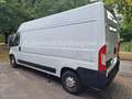 Fiat Ducato Grossr.-Kasten 35 130 L4H2 RS: 4035 mm Weiß - thumbnail 4
