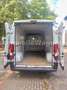 Fiat Ducato Grossr.-Kasten 35 130 L4H2 RS: 4035 mm Weiß - thumbnail 19