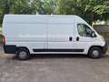 Fiat Ducato Grossr.-Kasten 35 130 L4H2 RS: 4035 mm Weiß - thumbnail 6