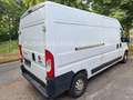 Fiat Ducato Grossr.-Kasten 35 130 L4H2 RS: 4035 mm Weiß - thumbnail 3