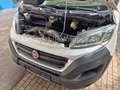 Fiat Ducato Grossr.-Kasten 35 130 L4H2 RS: 4035 mm Weiß - thumbnail 12