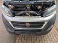 Fiat Ducato Grossr.-Kasten 35 130 L4H2 RS: 4035 mm Weiß - thumbnail 16