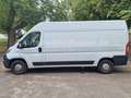 Fiat Ducato Grossr.-Kasten 35 130 L4H2 RS: 4035 mm Weiß - thumbnail 5