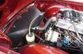 Triumph TR6 Tr-6 2.5 Striaght Six met Overdrive Rojo - thumbnail 16