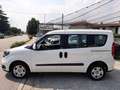 Fiat Doblo Doblò 1.3 MJT PC Combi N1 SX N°FN540 Blanco - thumbnail 12