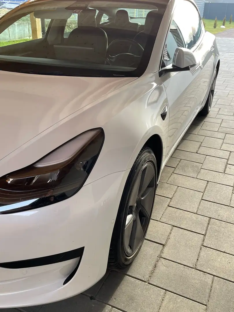 Tesla Model 3 SR+ weiß Blanco - 1