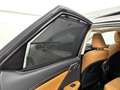 Lexus RX 450h AWD President Line Limited | Panoramisch Schuidak Gris - thumbnail 38