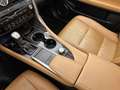 Lexus RX 450h AWD President Line Limited | Panoramisch Schuidak Gris - thumbnail 12