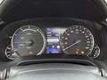 Lexus RX 450h AWD President Line Limited | Panoramisch Schuidak Gris - thumbnail 6