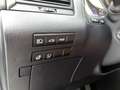 Lexus RX 450h AWD President Line Limited | Panoramisch Schuidak Gris - thumbnail 32