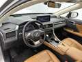 Lexus RX 450h AWD President Line Limited | Panoramisch Schuidak Gris - thumbnail 7