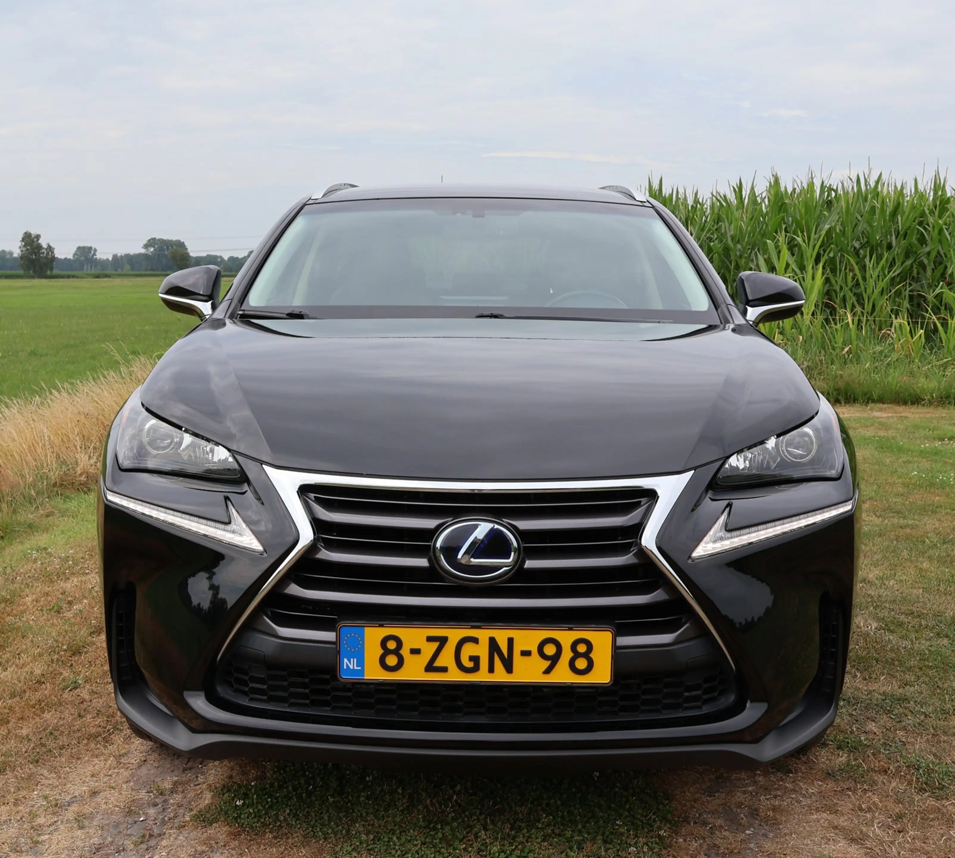 Lexus NX 300h AWD 25th Edition|Trekhaak|Leer|Dealer onderhouden| — photo 7