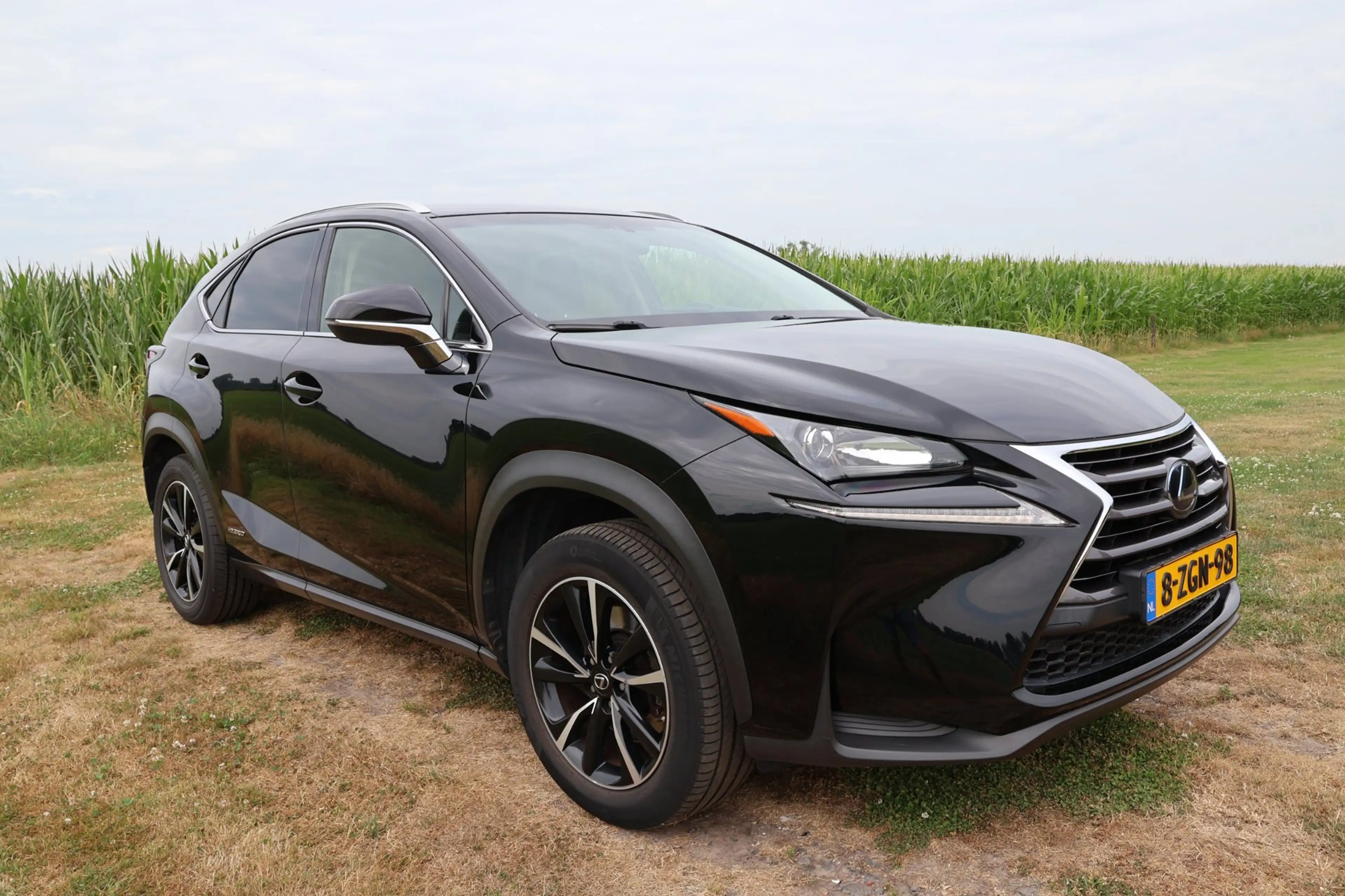 Lexus NX 300h AWD 25th Edition|Trekhaak|Leer|Dealer onderhouden| — photo 2