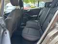 Ford Focus 1.0 EcoBoost Trend Edition Business | Navigatie | Gris - thumbnail 18