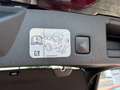 Ford Kuga Titanium X *Pano-HUD-eHeck-4xSHZ* Nero - thumbnail 13