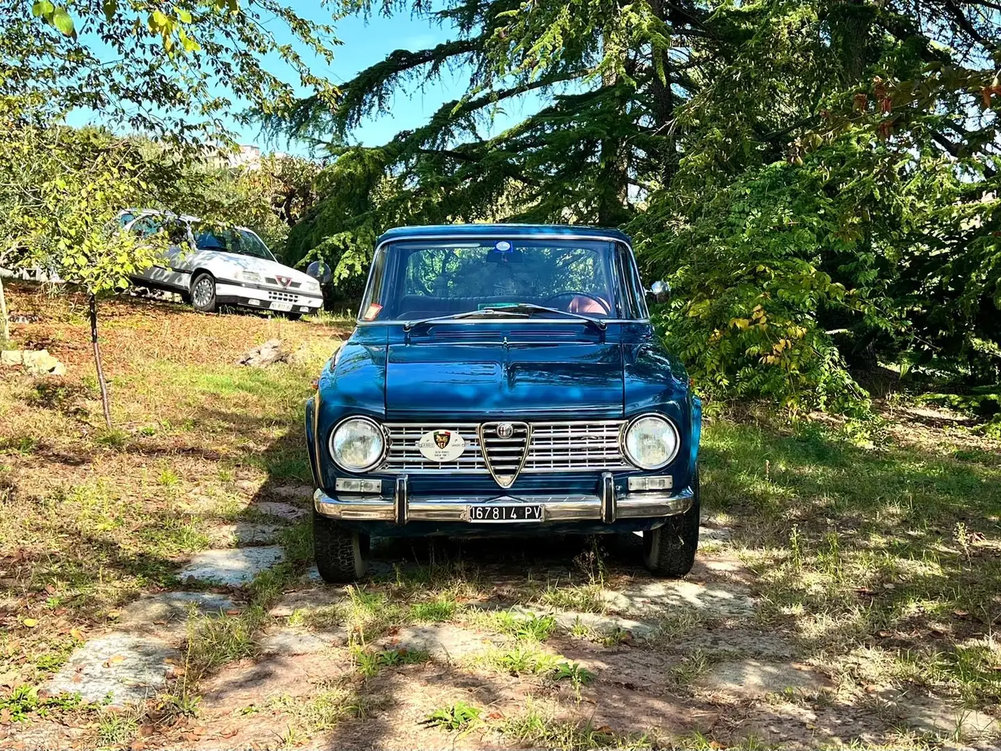 Alfa Romeo Giulia 1300 TI Blau - 2