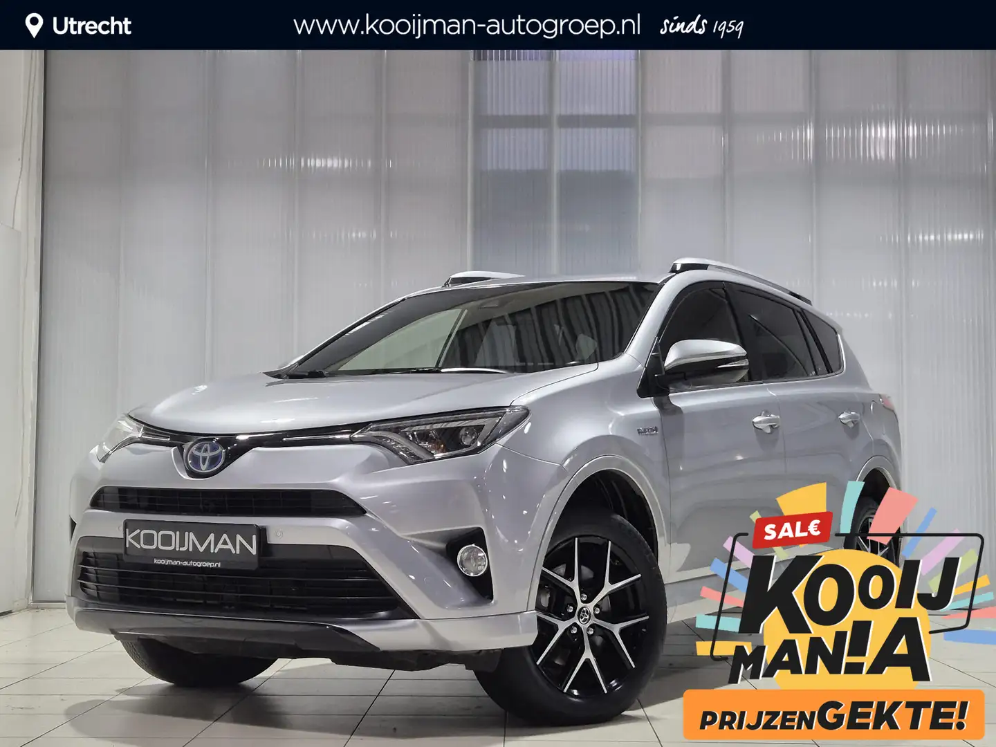 Toyota RAV 4 2.5 Hybrid Style Leder/alcantara bekleding, Privac Grijs - 1