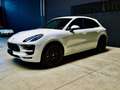 Porsche Macan GTS Service Porsche e Porsche Approved a Pordenone Weiß - thumbnail 2