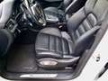 Porsche Macan GTS Service Porsche e Porsche Approved a Pordenone Weiß - thumbnail 8