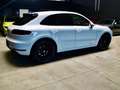 Porsche Macan GTS Service Porsche e Porsche Approved a Pordenone Weiß - thumbnail 4
