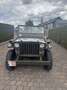 Jeep Willys cabrio willy jeep Zelená - thumbnail 2