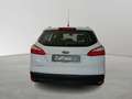 Ford Focus Station Wagon 1.6 TDCi Titanium Weiß - thumbnail 7