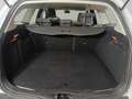 Ford Focus Station Wagon 1.6 TDCi Titanium Weiß - thumbnail 14