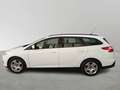 Ford Focus Station Wagon 1.6 TDCi Titanium Weiß - thumbnail 9