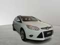 Ford Focus Station Wagon 1.6 TDCi Titanium Weiß - thumbnail 4