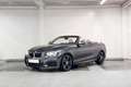 BMW 218 2 Serie Cabrio 218i High Executive l M-Sport Gris - thumbnail 2