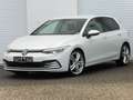 Volkswagen Golf 2.0 TDI DSG LED+ Virtual ACC Kamera SHZ 18" Weiß - thumbnail 1