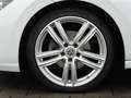 Volkswagen Golf 2.0 TDI DSG LED+ Virtual ACC Kamera SHZ 18" Weiß - thumbnail 15