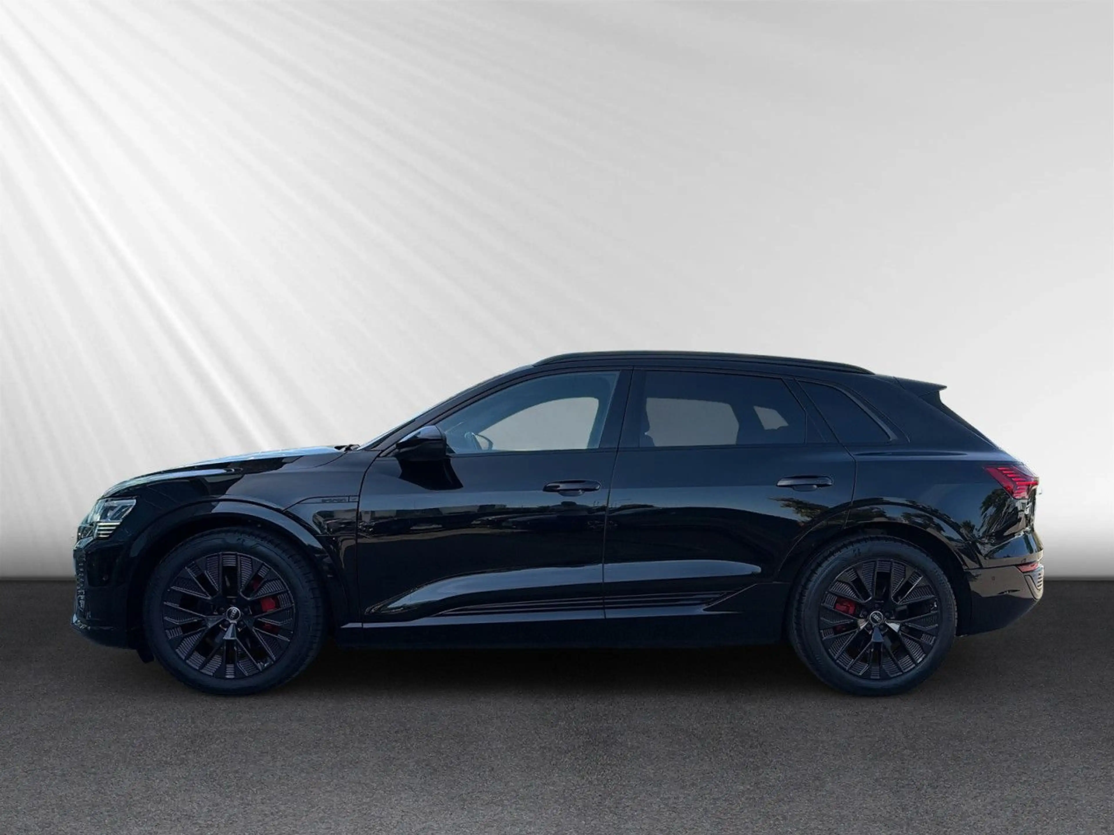 Audi Q8 e-tron 50 quattro edition S line Matrix Kamera — photo 2