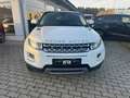 Land Rover Range Rover Evoque Prestige - TÜV 09.2026. - Weiß - thumbnail 2