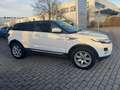 Land Rover Range Rover Evoque Prestige - TÜV 09.2026. - Weiß - thumbnail 3