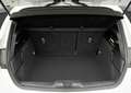 Ford Focus 1.0 ecoboost h ST-Line Design 125cv Bianco - thumbnail 8