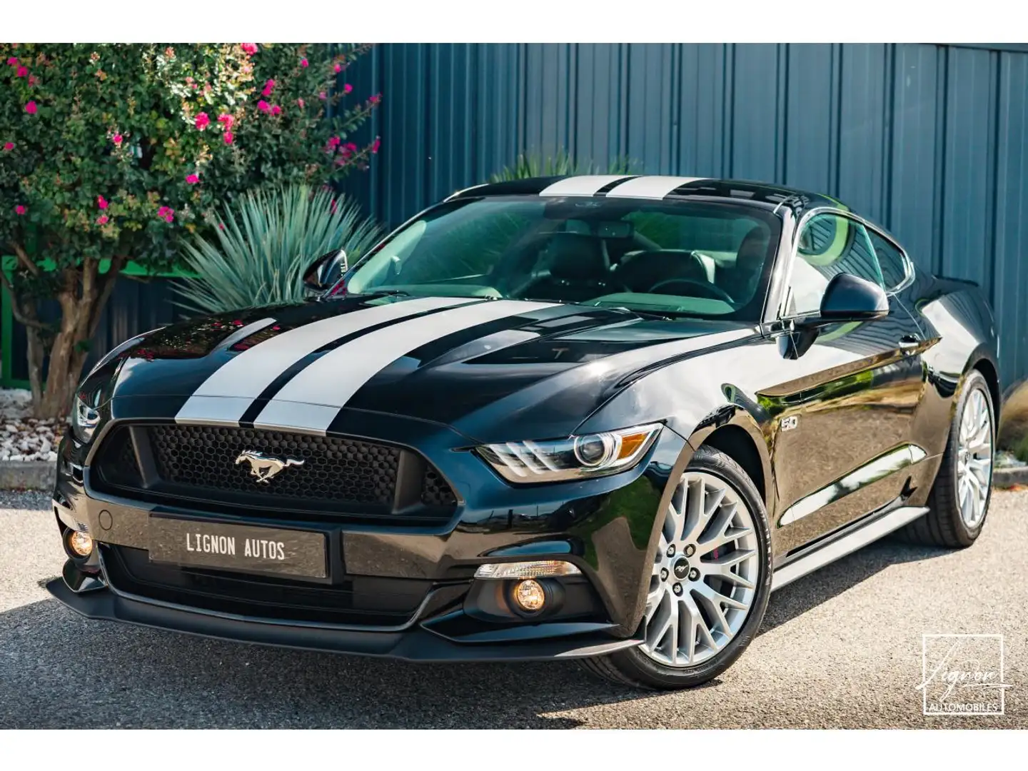 Ford Mustang Fastback 5.0 v8 GT 421 ch BVA6 Noir - 1