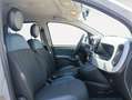 Fiat Panda Hybrid 1.0 Gse 51kw (70CV) Gris - thumbnail 8