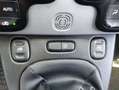 Fiat Panda Hybrid 1.0 Gse 51kw (70CV) Gris - thumbnail 19