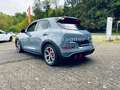 Ora Funky Cat 03 GT Gris - thumbnail 4