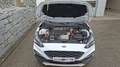 Ford Focus 2,0 EcoBlue SCR Active Aut. Weiß - thumbnail 7
