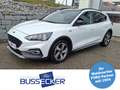 Ford Focus 2,0 EcoBlue SCR Active Aut. Weiß - thumbnail 1