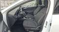 Ford Focus 2,0 EcoBlue SCR Active Aut. Weiß - thumbnail 8